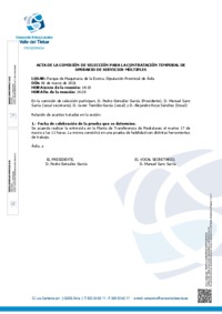 Acta de la Comisi&oacute;n de Selecci&oacute;n para la designaci&oacute;n de la prueba